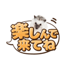 日常使いできるハリネズミの吹き出し（個別スタンプ：19）