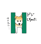 しば犬のさくら（個別スタンプ：11）