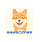 キュートな柴犬の挨拶（個別スタンプ：2）