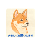 キュートな柴犬の挨拶（個別スタンプ：3）