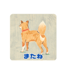 キュートな柴犬の挨拶（個別スタンプ：4）