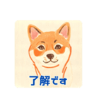 キュートな柴犬の挨拶（個別スタンプ：8）