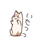 なにげにねこ（個別スタンプ：24）