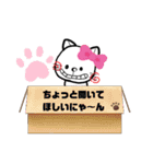 にゃんこあのねちゃん（個別スタンプ：31）