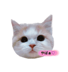 Princess Lilychan（個別スタンプ：1）