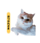 Princess Lilychan（個別スタンプ：13）