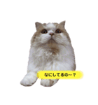 Princess Lilychan（個別スタンプ：22）