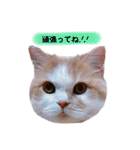 Princess Lilychan（個別スタンプ：29）