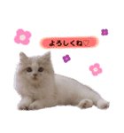 Princess Lilychan（個別スタンプ：30）