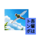 吾輩が猫である、名前は何かありそう。（個別スタンプ：17）