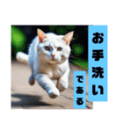 吾輩が猫である、名前は何かありそう。（個別スタンプ：33）