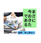 吾輩が猫である、名前は何かありそう。（個別スタンプ：39）