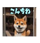 まるまる柴犬（個別スタンプ：4）