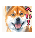 まるまる柴犬（個別スタンプ：6）