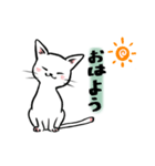 すわりねこ・あいさつ（個別スタンプ：1）