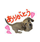 うちの愛犬ダックスフンド（個別スタンプ：5）