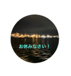 冬バージョンkinko1（個別スタンプ：1）