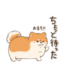 (春)むちむちと太ったしば犬(日常)（個別スタンプ：18）