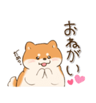 (春)むちむちと太ったしば犬(日常)（個別スタンプ：30）