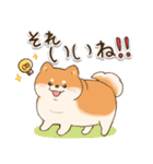 (春)むちむちと太ったしば犬(日常)（個別スタンプ：32）