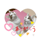 うち猫ฅ^•ω•^ฅ（個別スタンプ：22）
