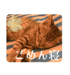 うち猫ฅ^•ω•^ฅ（個別スタンプ：40）