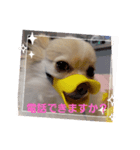 LUNA SEA～電話ちょうだい！！（個別スタンプ：1）