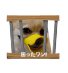 LUNA SEA～電話ちょうだい！！（個別スタンプ：8）