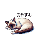 ドット絵 シャム 猫 40種（個別スタンプ：2）