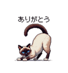 ドット絵 シャム 猫 40種（個別スタンプ：3）