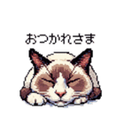 ドット絵 シャム 猫 40種（個別スタンプ：4）