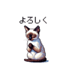 ドット絵 シャム 猫 40種（個別スタンプ：5）