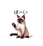 ドット絵 シャム 猫 40種（個別スタンプ：9）