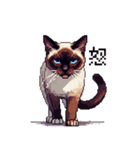 ドット絵 シャム 猫 40種（個別スタンプ：12）