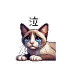 ドット絵 シャム 猫 40種（個別スタンプ：13）