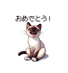 ドット絵 シャム 猫 40種（個別スタンプ：14）