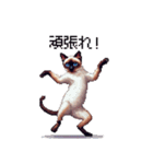 ドット絵 シャム 猫 40種（個別スタンプ：17）