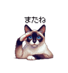 ドット絵 シャム 猫 40種（個別スタンプ：21）