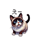 ドット絵 シャム 猫 40種（個別スタンプ：22）