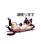 ドット絵 シャム 猫 40種（個別スタンプ：23）