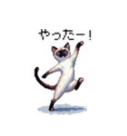 ドット絵 シャム 猫 40種（個別スタンプ：24）