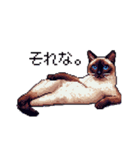 ドット絵 シャム 猫 40種（個別スタンプ：25）