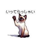 ドット絵 シャム 猫 40種（個別スタンプ：26）