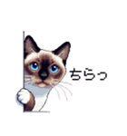 ドット絵 シャム 猫 40種（個別スタンプ：28）