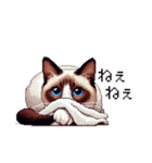 ドット絵 シャム 猫 40種（個別スタンプ：29）