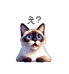 ドット絵 シャム 猫 40種（個別スタンプ：32）