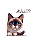 ドット絵 シャム 猫 40種（個別スタンプ：35）