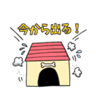 【使いやすい】シーズーのスタンプ（個別スタンプ：20）