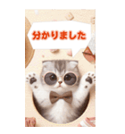 クールキャット 猫の日スタンプ（個別スタンプ：34）