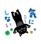 【気遣い多め】長毛の黒猫ちゃん（個別スタンプ：19）